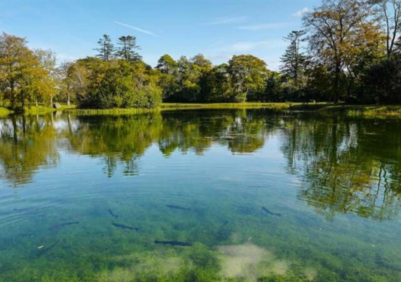 Mount Falcon Estate บัลลินา ภายนอก รูปภาพ